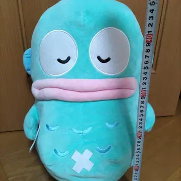 한교동 봉제 인형