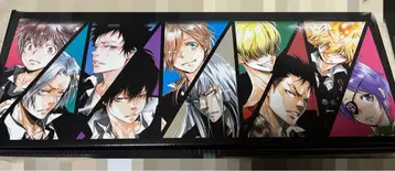 가정교사 히트맨 REBORN! 리본 문고본 케이스 엽서 전권