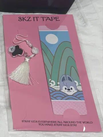 StrayKids 스키즈 POPUP Do it skzoo 울프 찬