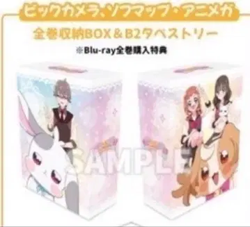 원더풀 프리큐어 전권 구매 특전 수납 BOX