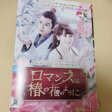 로맨스는 동백꽃처럼 dvd 전권 세트 전 12권 중국 드라마