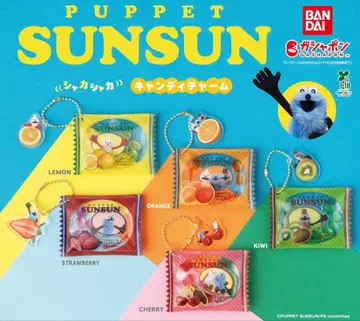 순순 바스락 캔디 참 4세트 세미 컴프