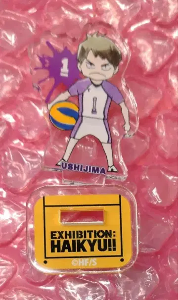 하이큐전 아크릴 mini 피규어 우시지마 레어