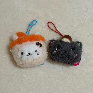 NCT WISH 리쿠 유우시