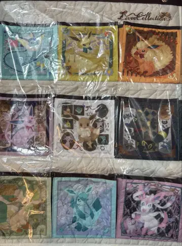 [미사용 새상품] 월 포켓 Eevee Collection