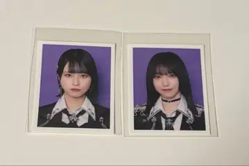 이코럽 ID 사진 저주해 저주해