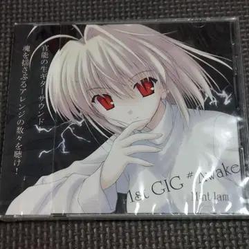 동인 음악 CD 1st GIG #Awake / MintJam