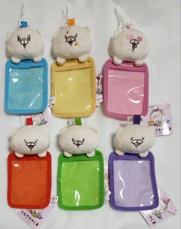 토모다치와 곰 최애 컬러 컬러풀 봉제 인형 패스 케이스 6종 세트