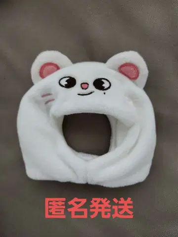 straykids skzoo 응원봉 커버 ver.2 지니레트