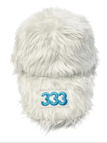 pccvision 화이트 퍼 캡