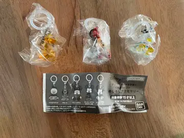 메지루시 액세서리 마츠모토 세이지