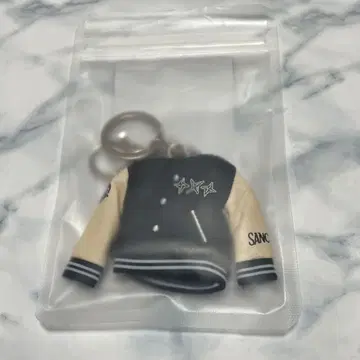 TXT SANCTUARY 컨셉 키링 키홀더