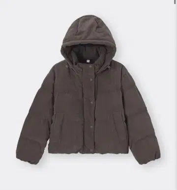 히트 패디드 코듀로이 블루종 브라운 GU