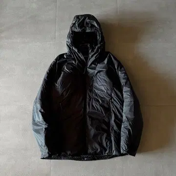 21AW Patagonia DAS Parka