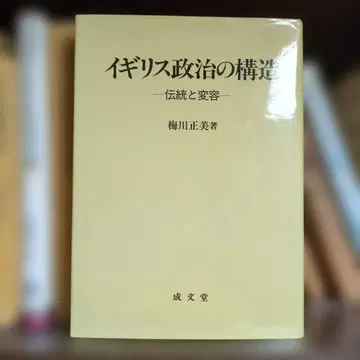 영국 정치의 구조: 전통과 변용 (성문당)