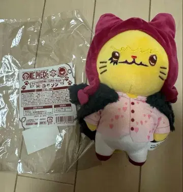 원피스 코라손 위드 캣