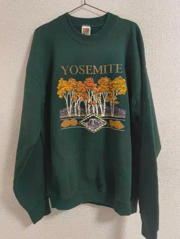 FRUIT OF THE LOOM 요세미티 수베니어 맨투맨