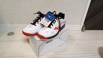 가격 대폭 인하! 미사용 Mizuno 테니스화 블레이크샷 22.0cm