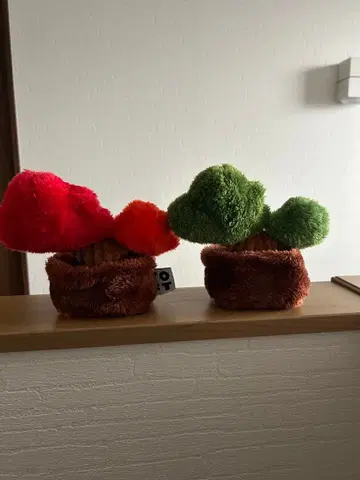 TOFT 토프트 분재