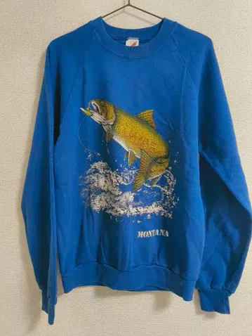 JERZEES 90s 미국제 래글런 맨투맨 MONTANA 송어