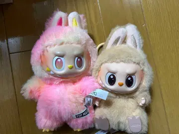 러브브 2체 세트