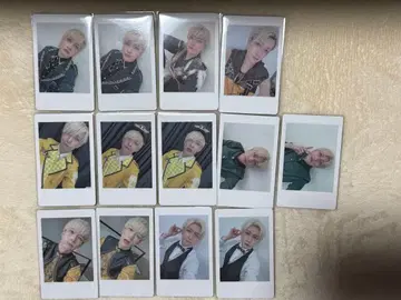 팬더드래곤 요우타 하피카세트