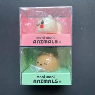 모니마루즈 냥코와 곰 moni moni animals