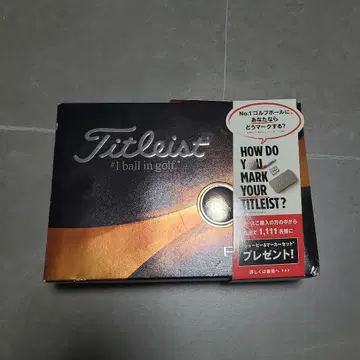 Titleist Pro V1 골프공