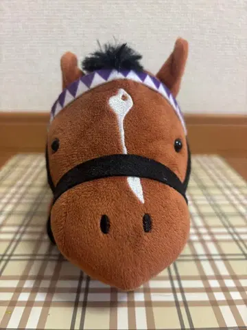 도우듀스 스마트폰 숄더