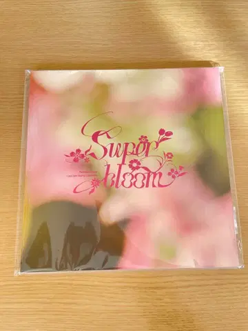 스타포니 4th 티켓 특전 팜플렛