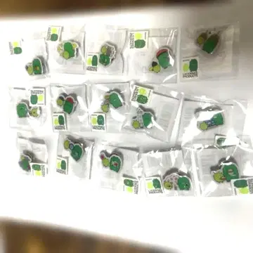 아이 지구박람회 20주년 기념 모리조 키콜로 지역 한정 핀 배지