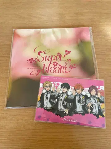 스타포니 4th 별책 팜플렛 3일차 라이브 뷰잉 입장 혜택 카드