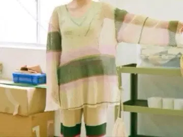 pamm 기수역의 메쉬 상의