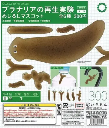 플라나리아 재생 실험 메지루시 마스코트 이키몬 STC 전6종 컴플리트