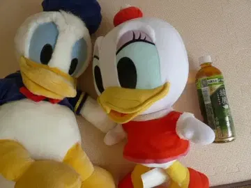 디즈니 도널드 덕 데이지 50cm 이상 봉제 인형 페어