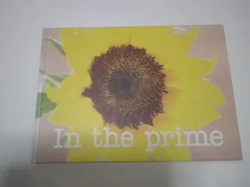 오카무라 타카코 아민 콘서트 팜플렛