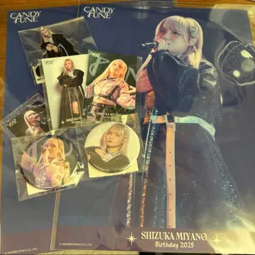 CANDYTUNE 미야노 시즈 생일 기념 복권 세트