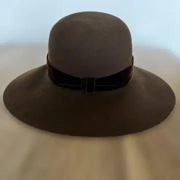 울 펠트 브라운 햇