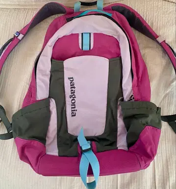 파타고니아 백팩 퍼플 색상 계열