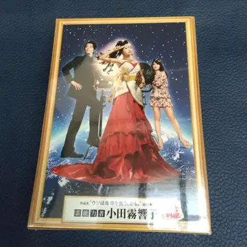 영능력자 오다기리 쿄코의 거짓말 DVD-BOX (5매)