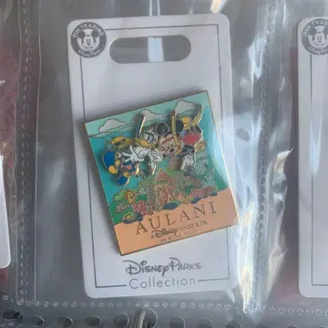 아울라니 미키 도날드 핀 배지