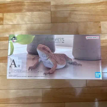 파충류 & 양서류 ~Tiny Friends~ 제일복권 A상 비어디드래곤