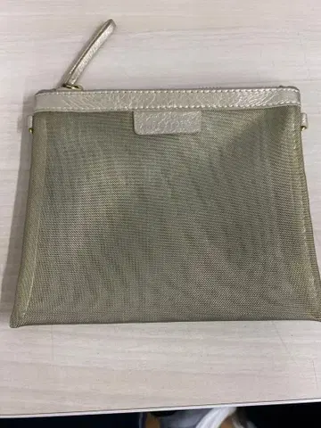 [ WR ] ANTIPAST 골드 메쉬 파우치