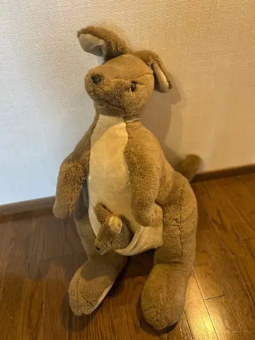 특대형 캥거루 봉제 인형 호주산