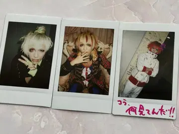 2 코도모드래곤 하야토 폴라로이드