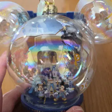 Disney World 디즈니 50주년 오너먼트