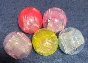 주얼펫 메지루시 액세서리 컴플리트