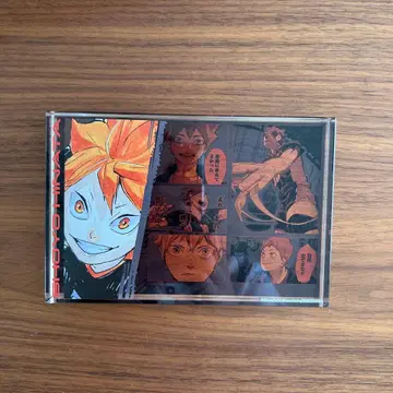 히나타 쇼요 아크릴 블록