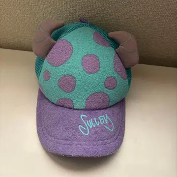 몬스터즈 잉크 샐리 캡