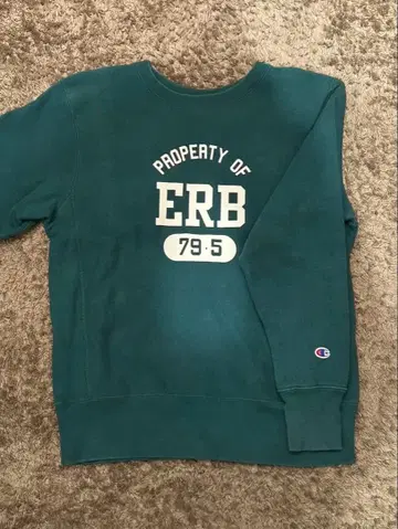 챔피언 리버스 위브 맨투맨 L 그린